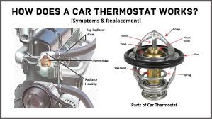 Auto Thermostat
